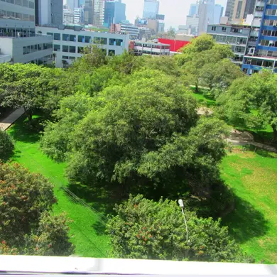 Oficina de , Lima · Alquiler Oficina  en San Isidro