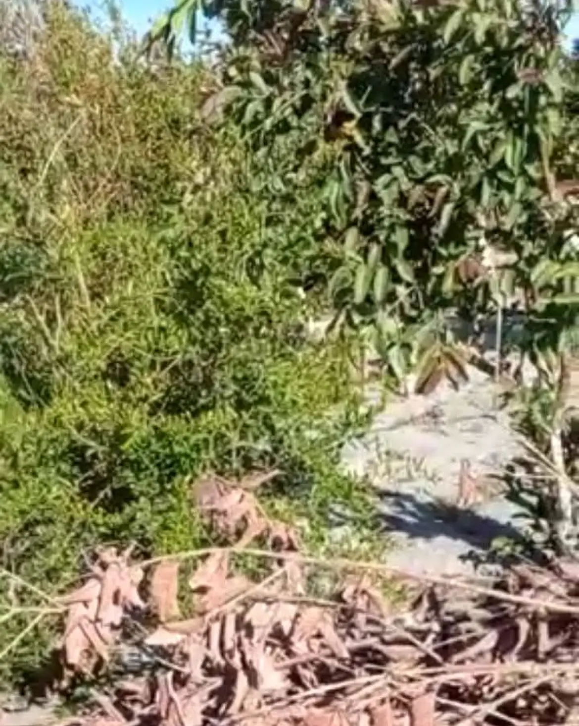 Terreno de , Lima · Venta Terreno  en