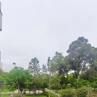 Departamento de 3 habitaciones, Lima · Venta Departamento  en San Borja